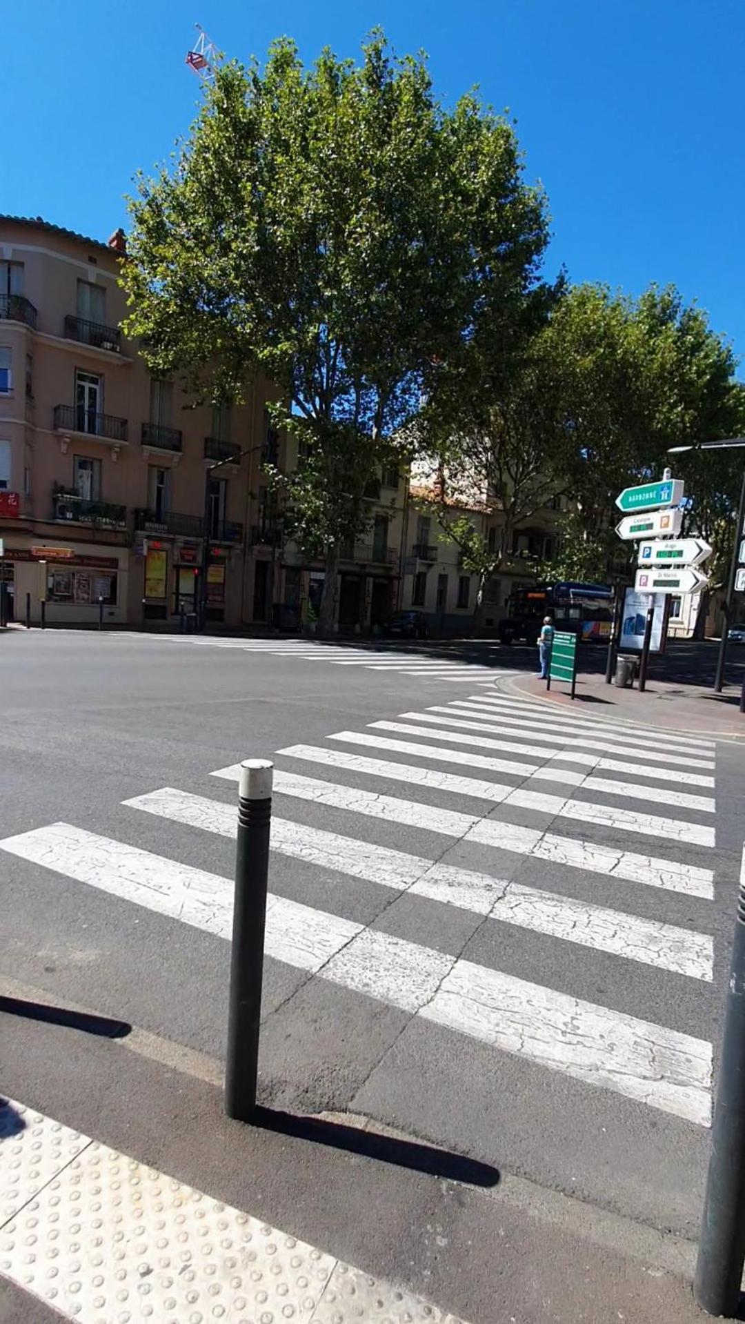 Sejour Perpignan Avec Petit-Dejeuner A La Demande Et Piscine A 20 Minutes De L'Espagne A Le Palace Climatise 외부 사진